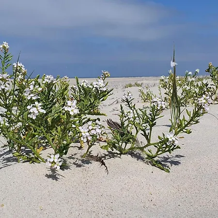 Σπίτι διακοπών 6 Person In Henne-by Traum Henne Strand